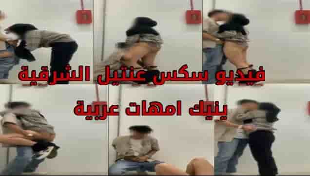 فيديو سكس عنتيل الشرقية ينيك امهات عربيه