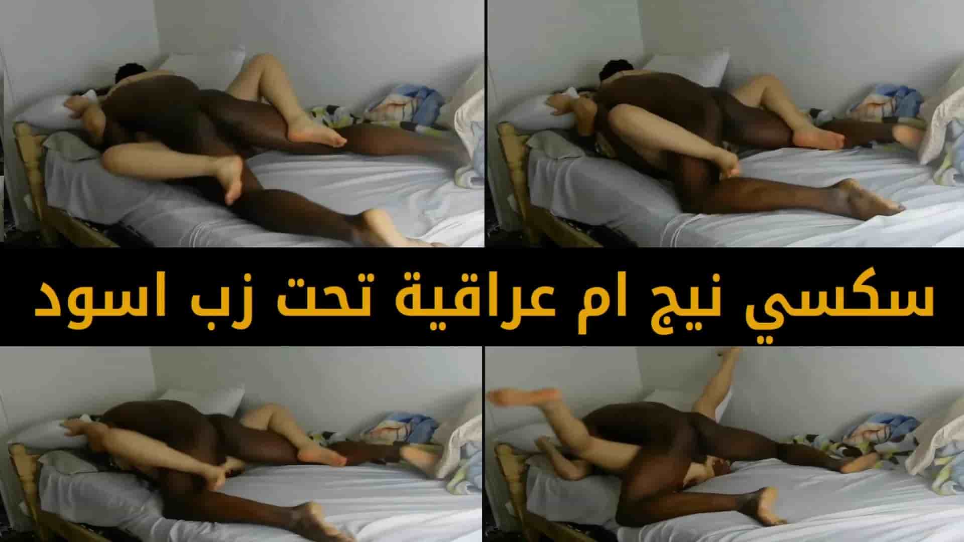 سكسي نيج ام عراقية تحت عير اسود