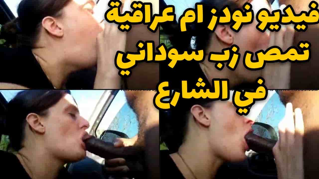 فيديو نودز ام عراقية تمص زب سوداني في الشارع