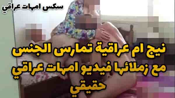 نيج ام عراقية تمارس الجنس مع زملائها فيديو امهات عراقي حقيقي