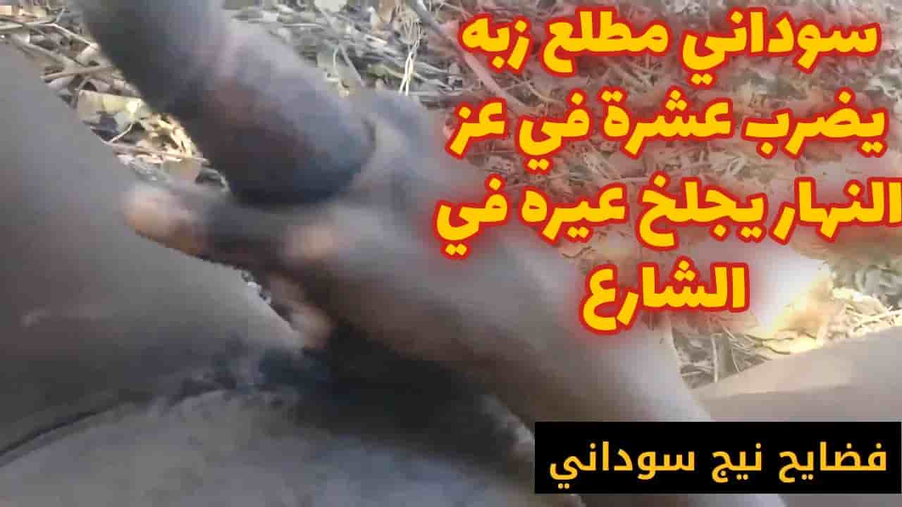 فضايح نيج سوداني مطلع زبه يضرب عشرة في عز النهار يجلخ في الشارع